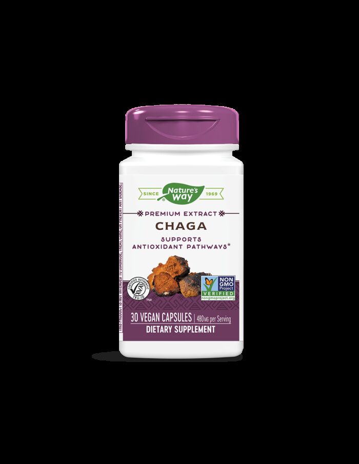 Chaga / Чага 480 mg x 30 капсули Nature’s Way