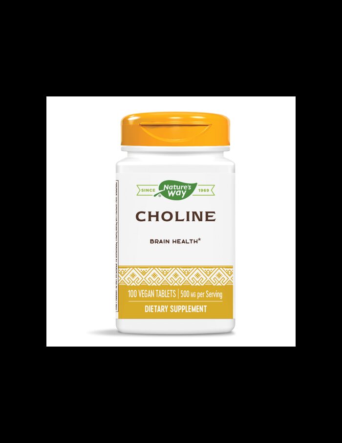 Choline/ Холин 500 mg х 100 таблетки Nature’s Way