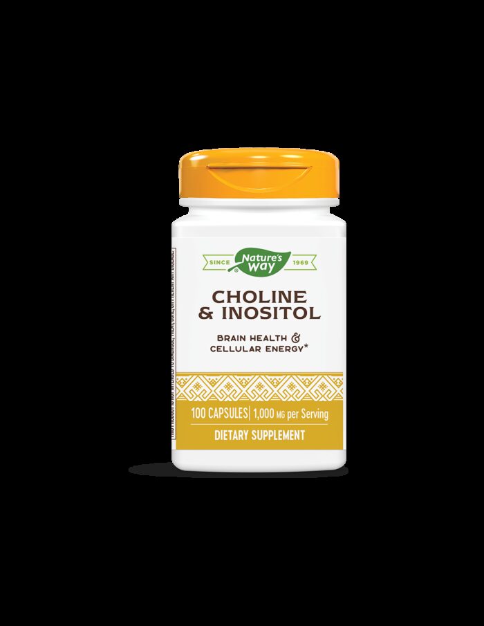 Choline & Inositol –Холин и инозитол - Невропротекция и метаболитен профил