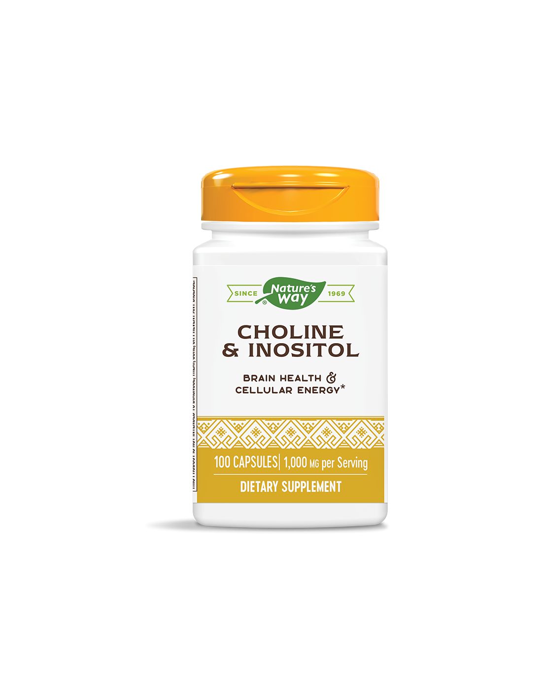 Choline & Inositol –Холин и инозитол - Невропротекция и метаболитен профил